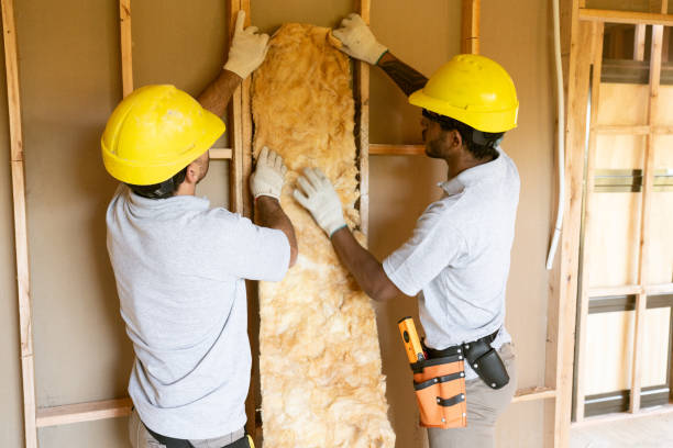 Types of Insulation We Offer in Gilbert, AZ